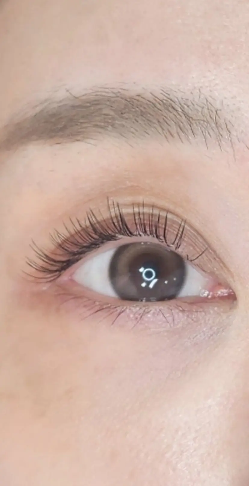 11/4open👏 Refoile🎉の掲載