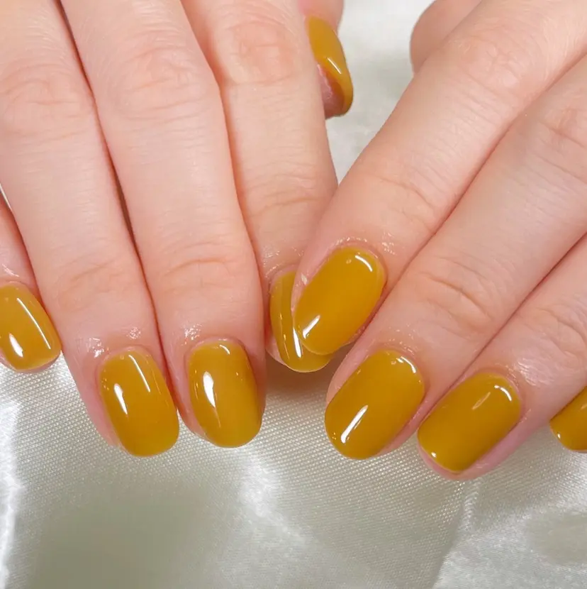 佐藤 月衣の掲載