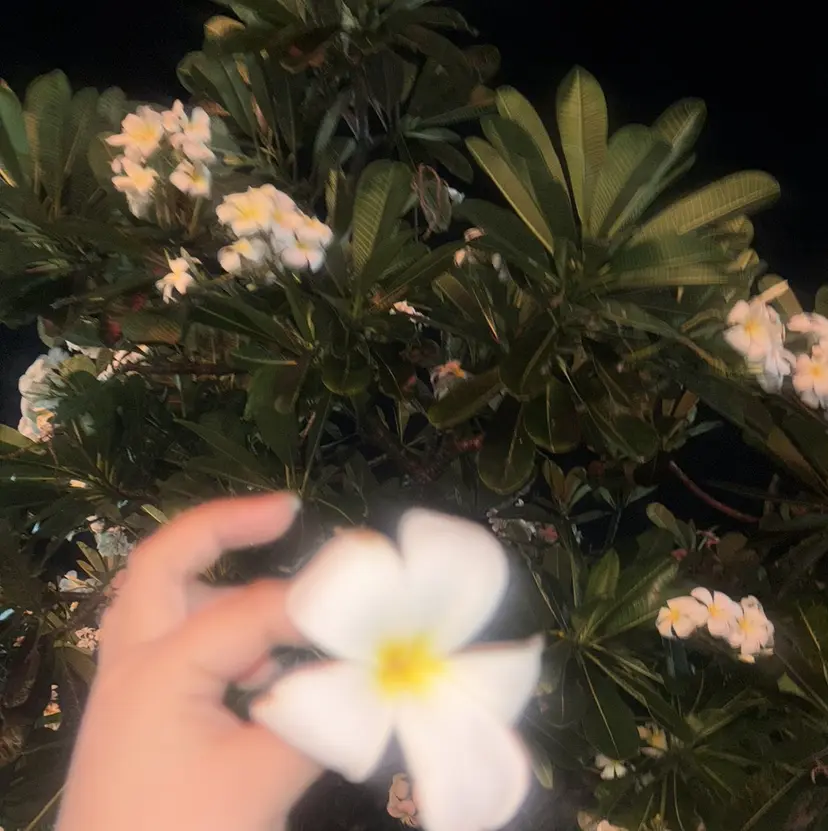 澤田 優香の掲載