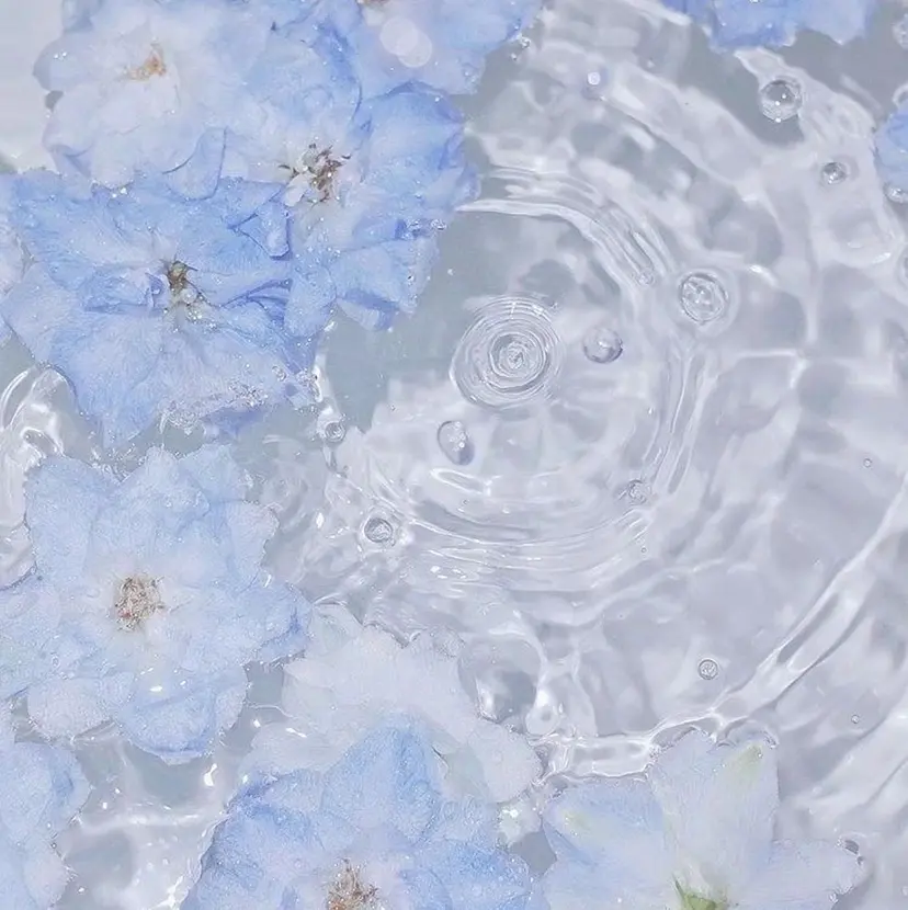 浅野 朱那の掲載