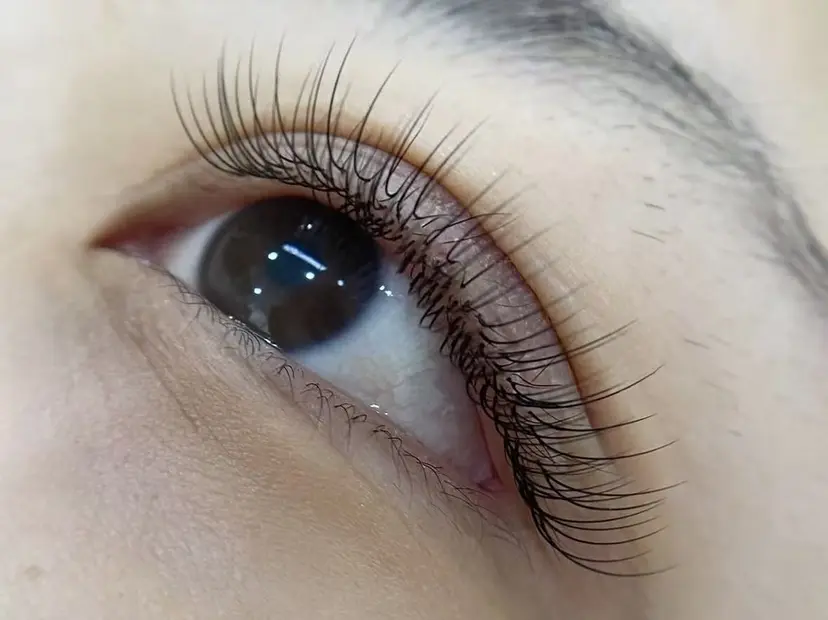 MAX SALONの掲載