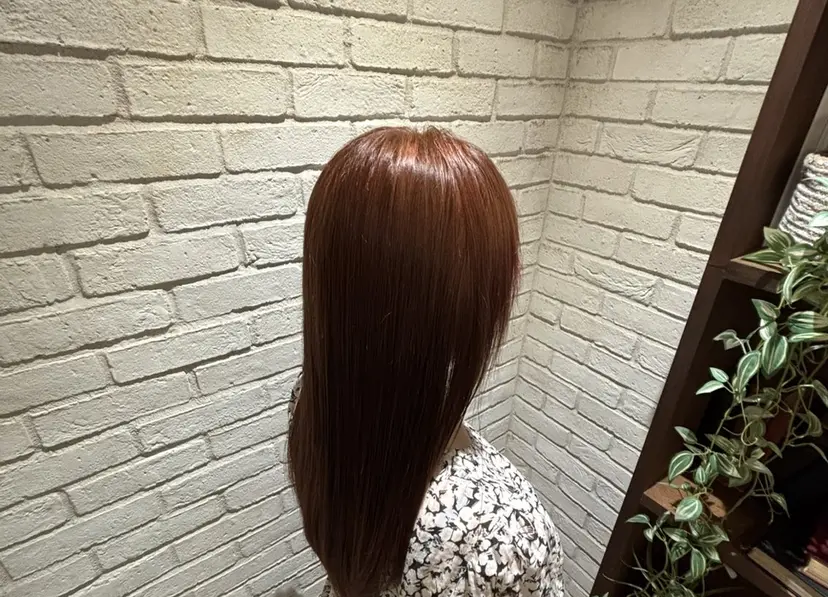 蓮田 麗斗の掲載