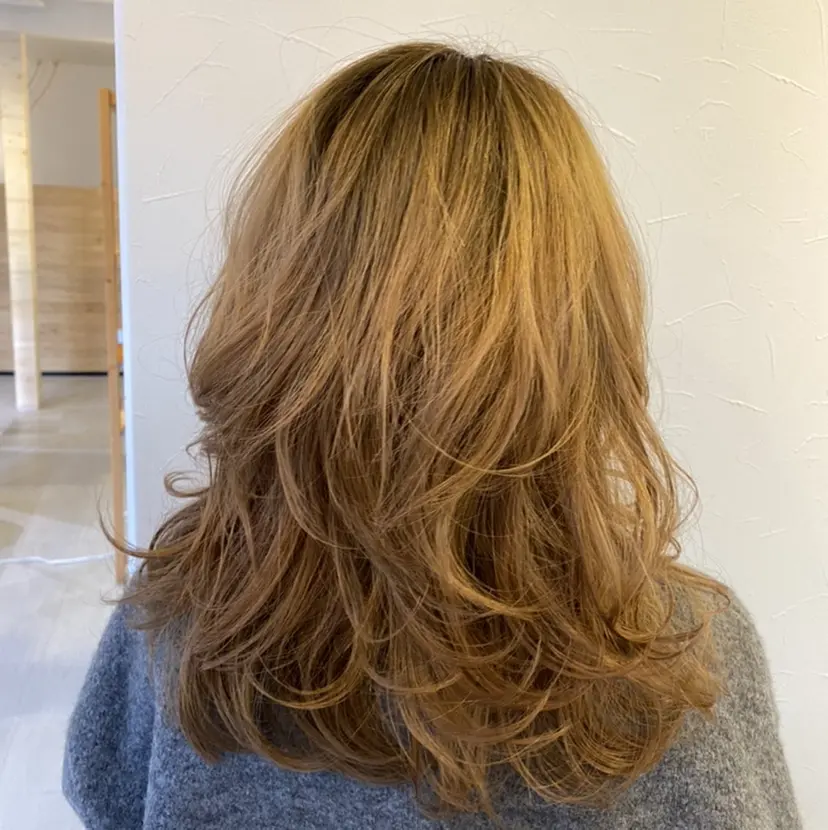 イワ ハシの掲載