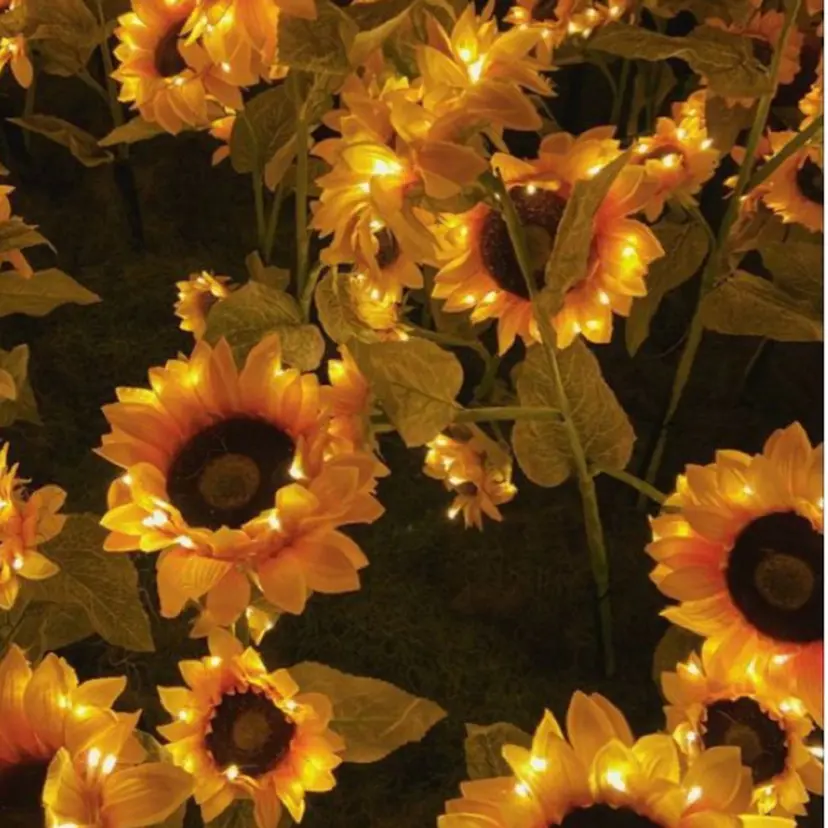 DL・BEAUTY 🫧riseの掲載