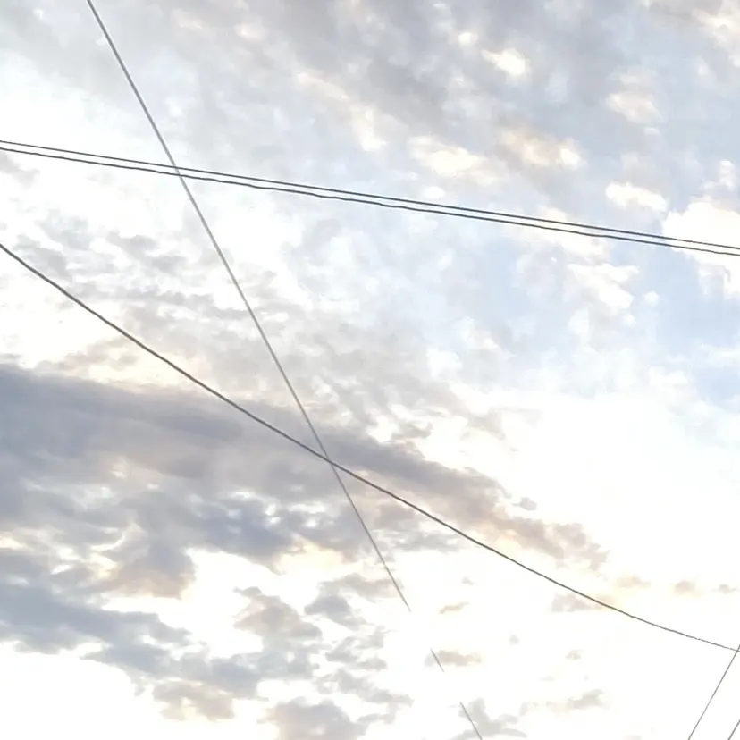 シルメイリーHARU /束感/韓国まつ毛の掲載