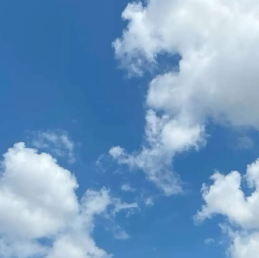 松本 はるかの掲載