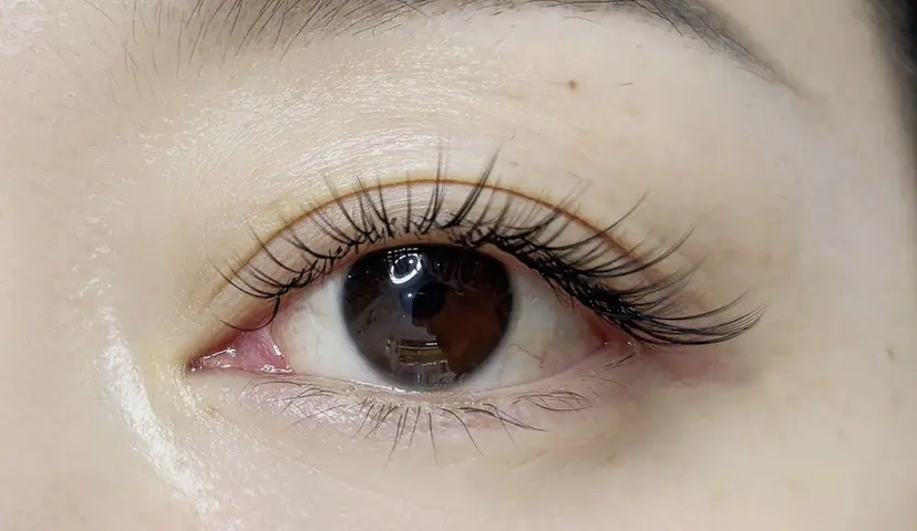 高橋 ルネの掲載