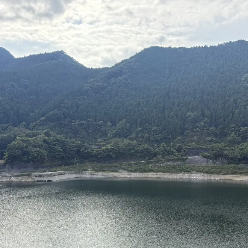 つじ みさきの掲載