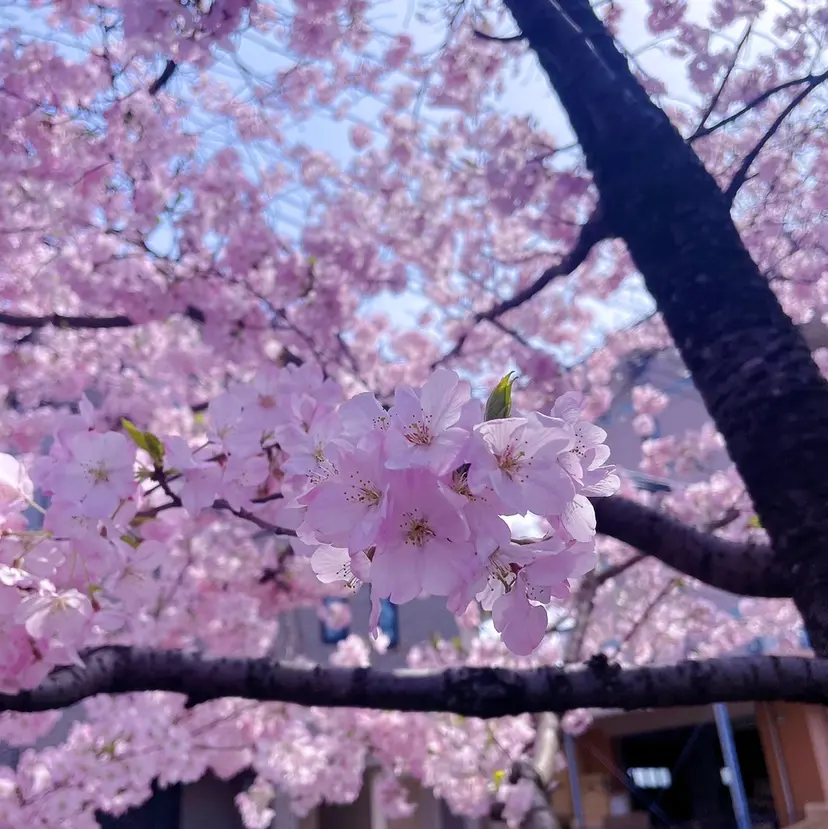 ️🫧 ꒰ঌ丸岡美空໒꒱の掲載