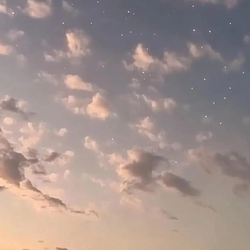 Li aile hikariの掲載