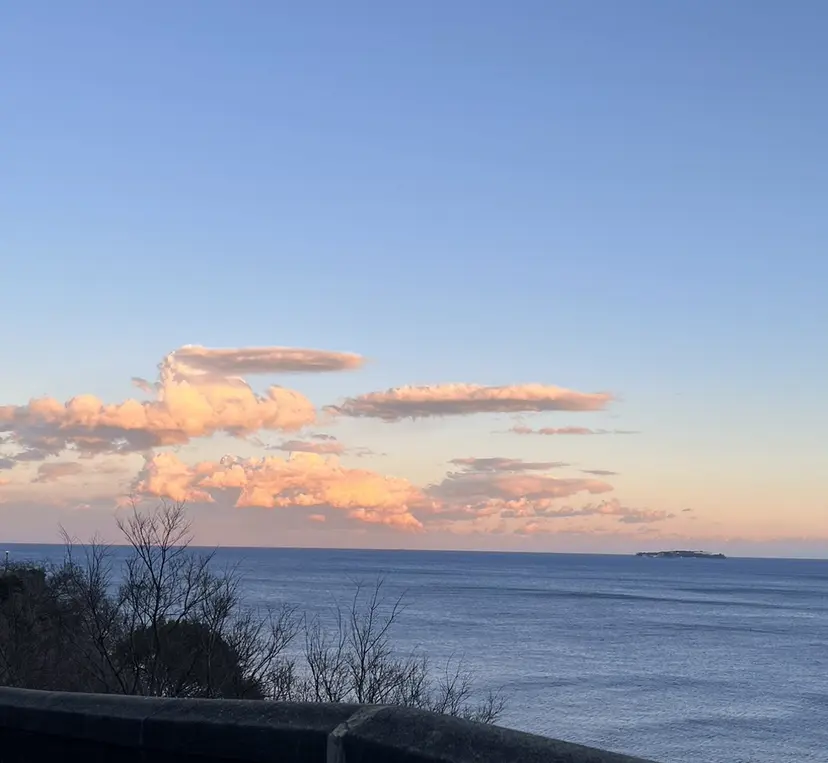 いけだ あいりの掲載