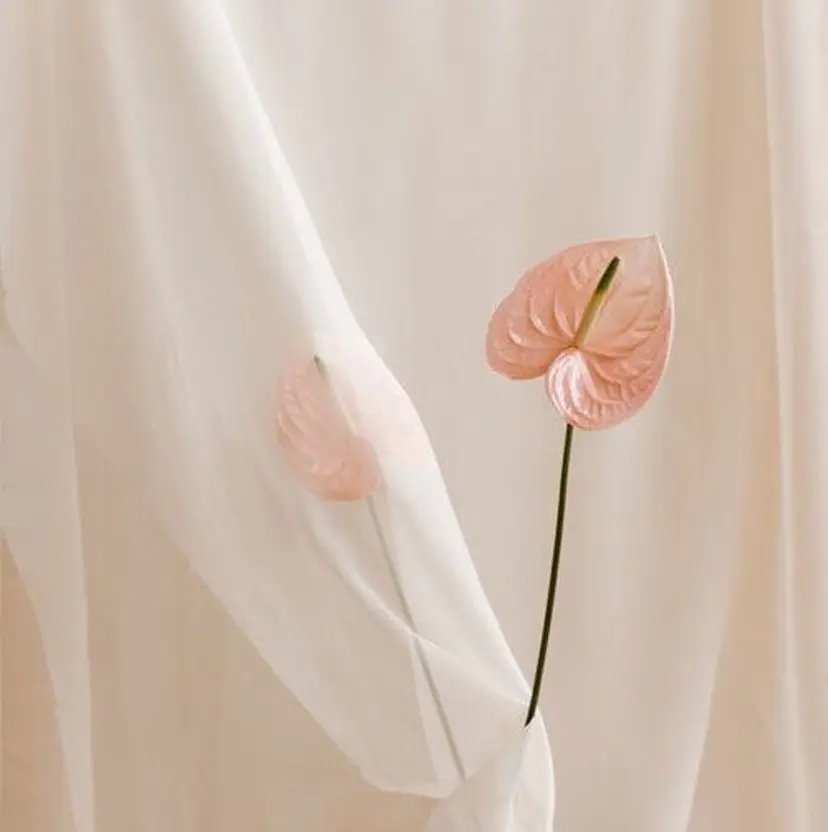 minori 🌿の掲載