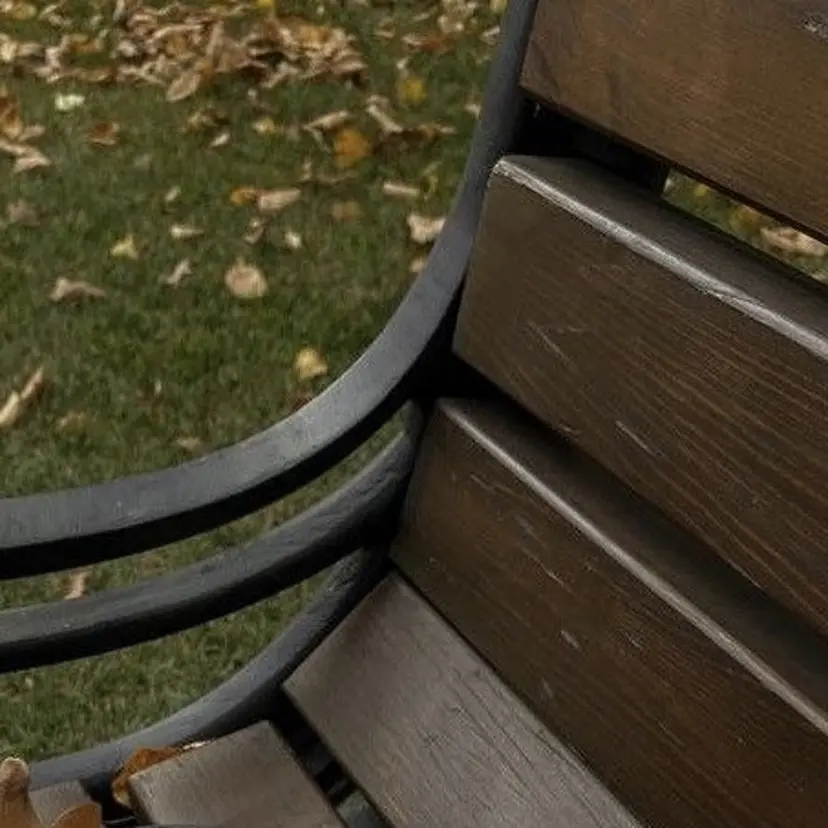 山口 麗音の掲載