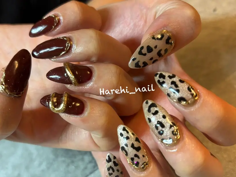 Harehi_ nailの掲載