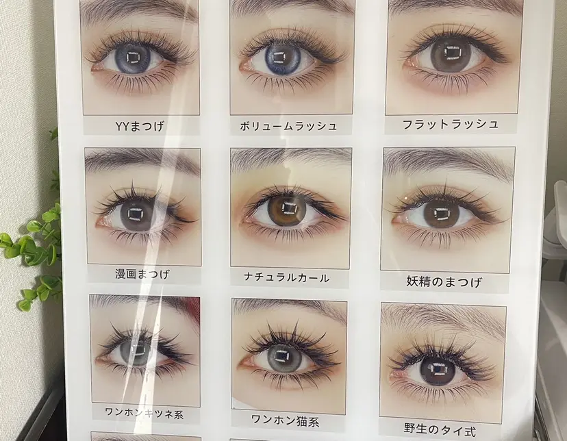 サ ヤの掲載