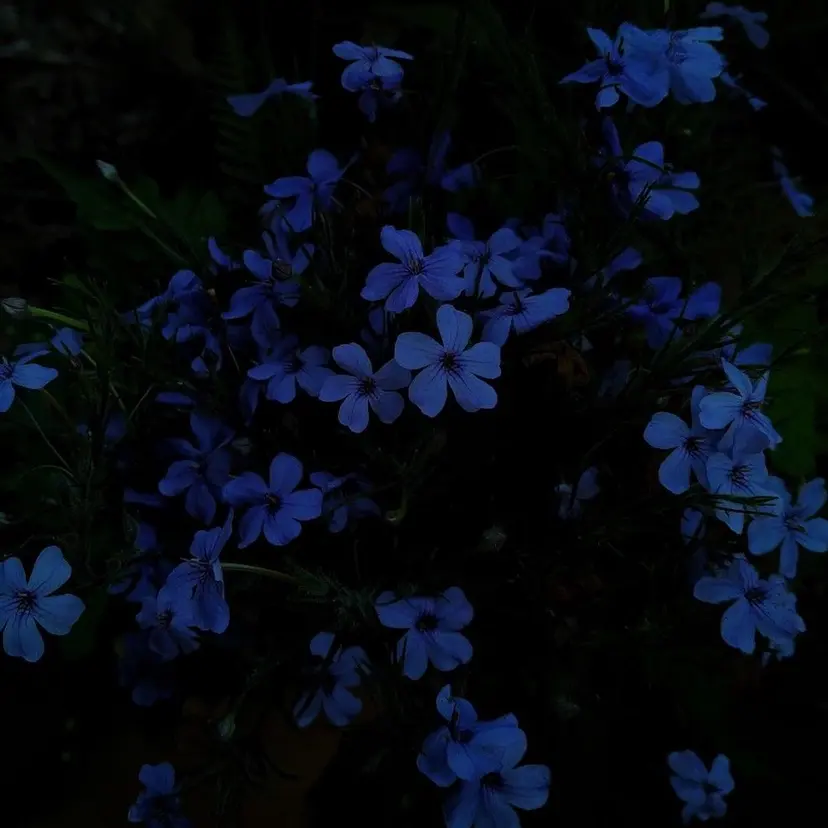 艶カラー💙/狩野 遥の掲載