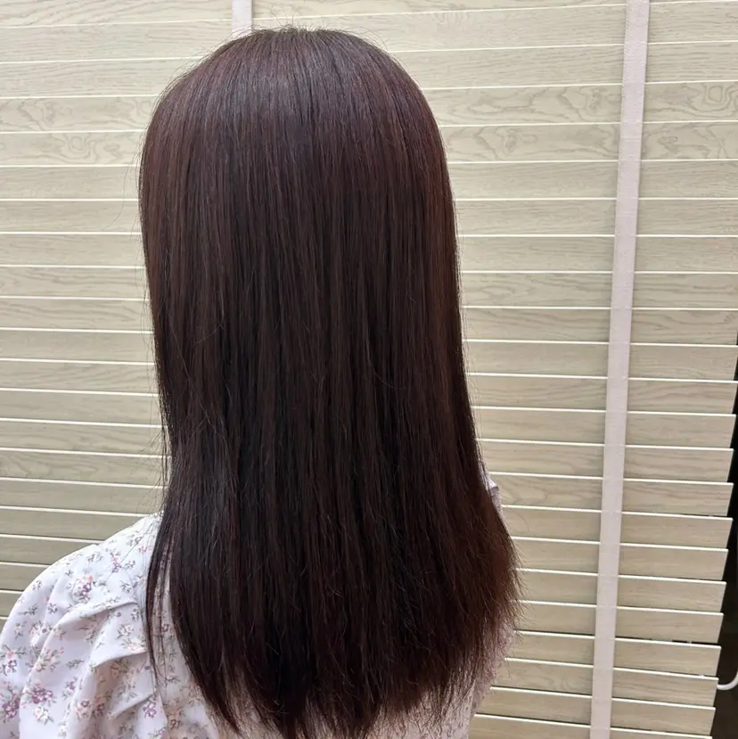 T MISAの掲載