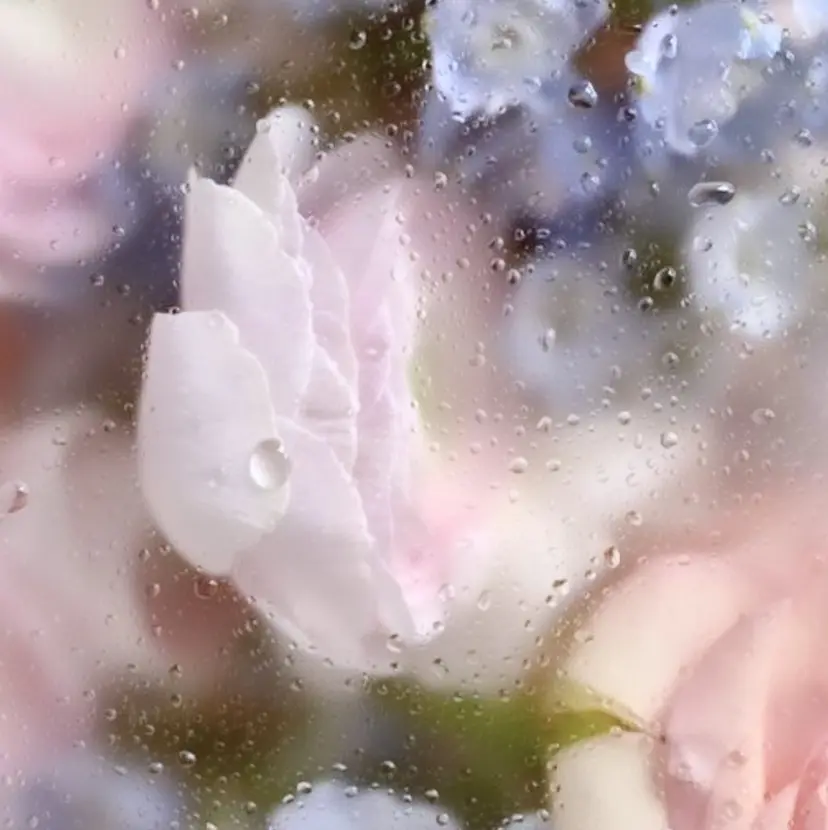 🤍ボブカット 🤍NANAMI🤍の掲載