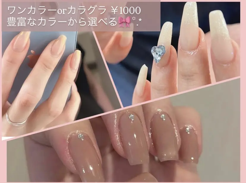 山田 舞の掲載