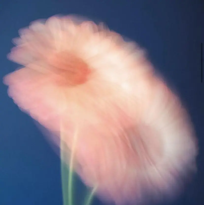 cipre 唯舞の掲載