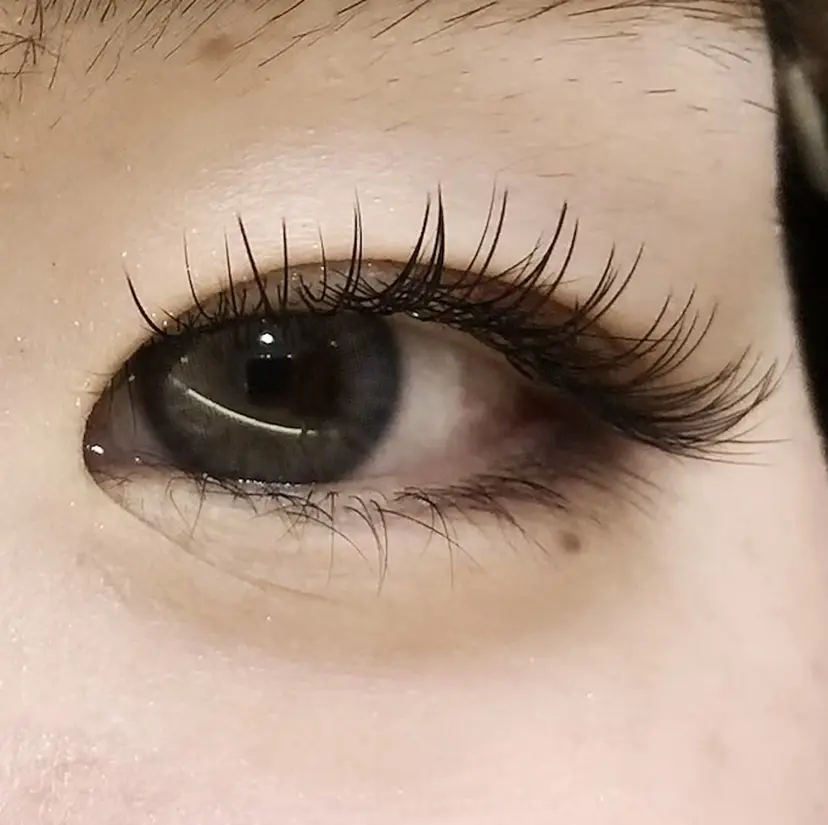 シルエット 有田の掲載