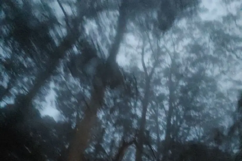 ꒰ঌkino/立川  優里໒꒱の掲載