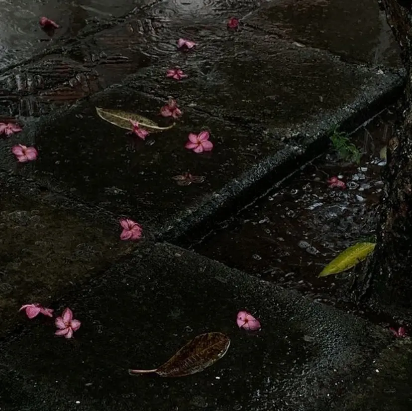 diar/ YUMEKAIINOの掲載