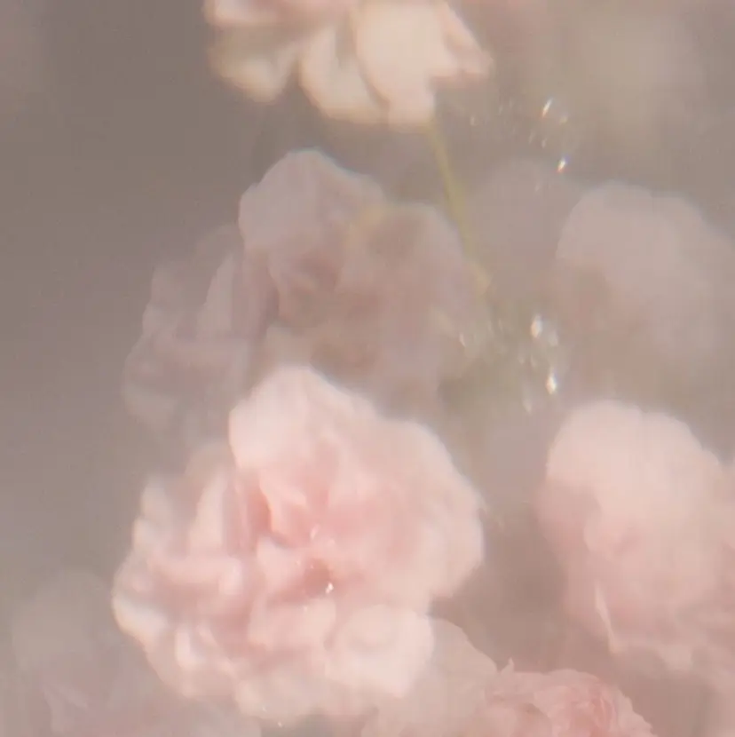 りょうか ❤︎の掲載