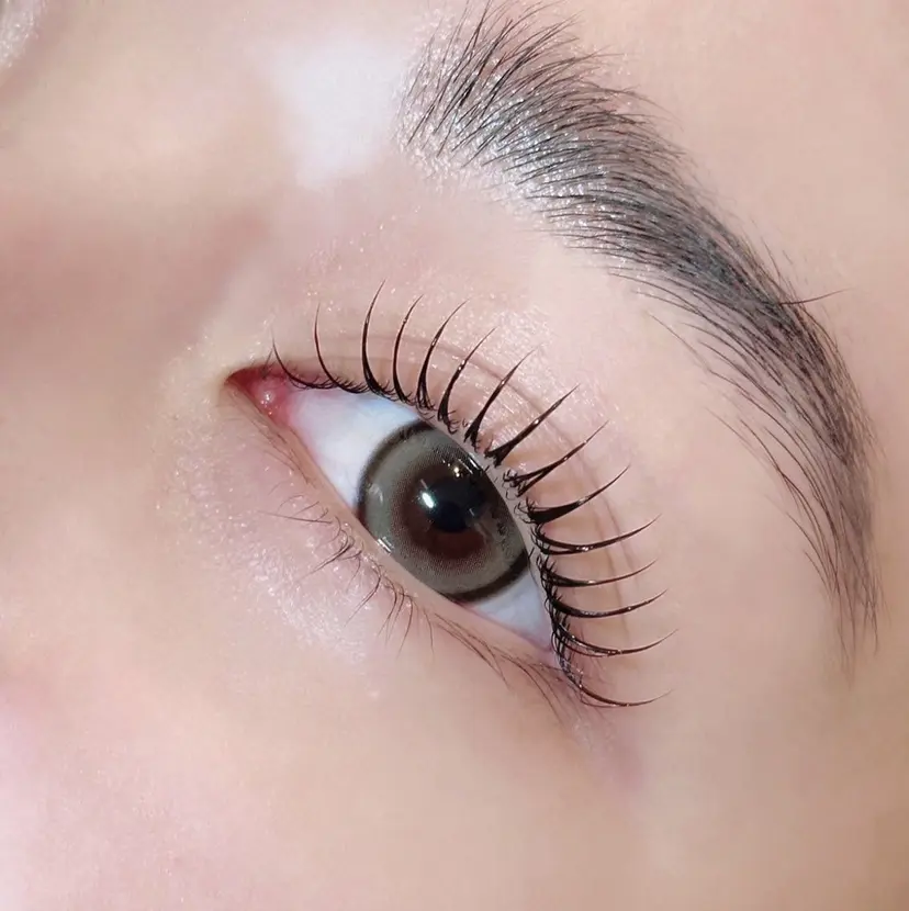 TOP BROW 葵衣の掲載