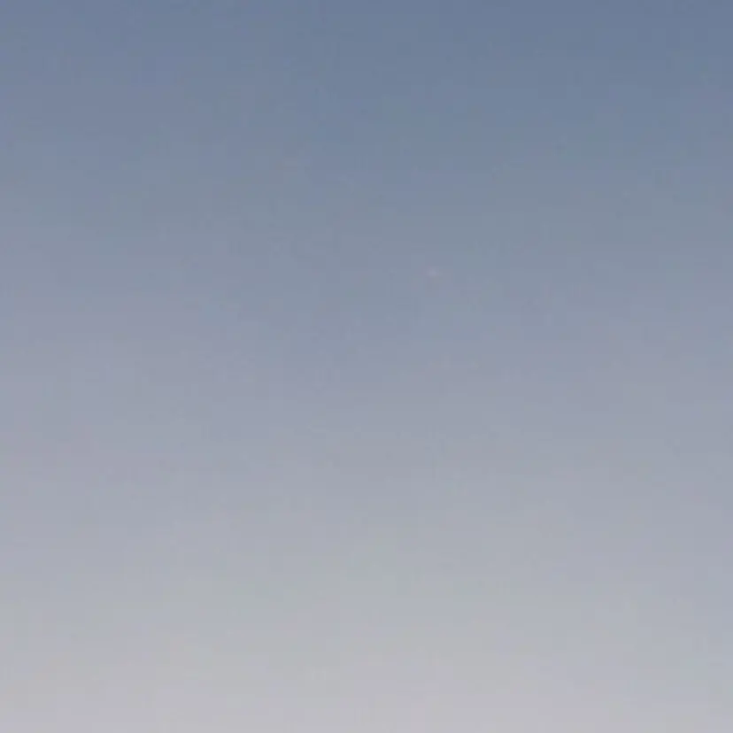 櫻井 美夕の掲載