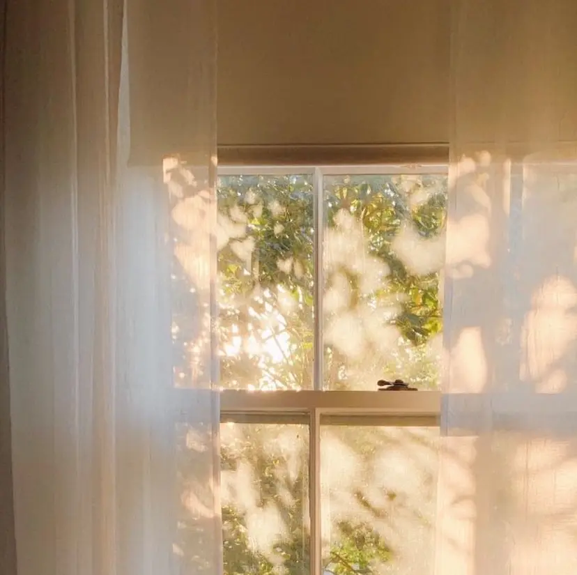 manami 💞🩰の掲載