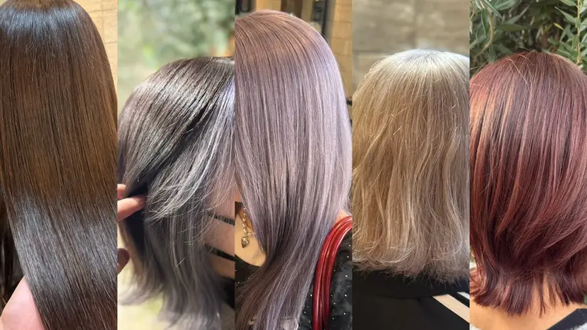 施術モデル様募集中 たいせいの掲載