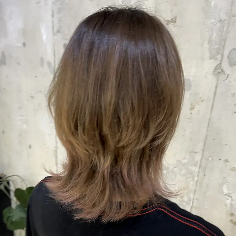 mo moの掲載