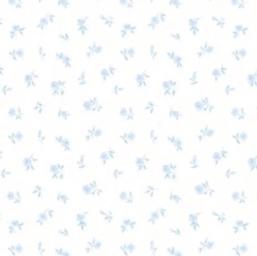 etora Shibuya🪽の掲載