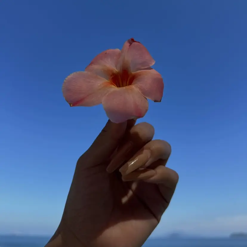 nail lam kykaの掲載