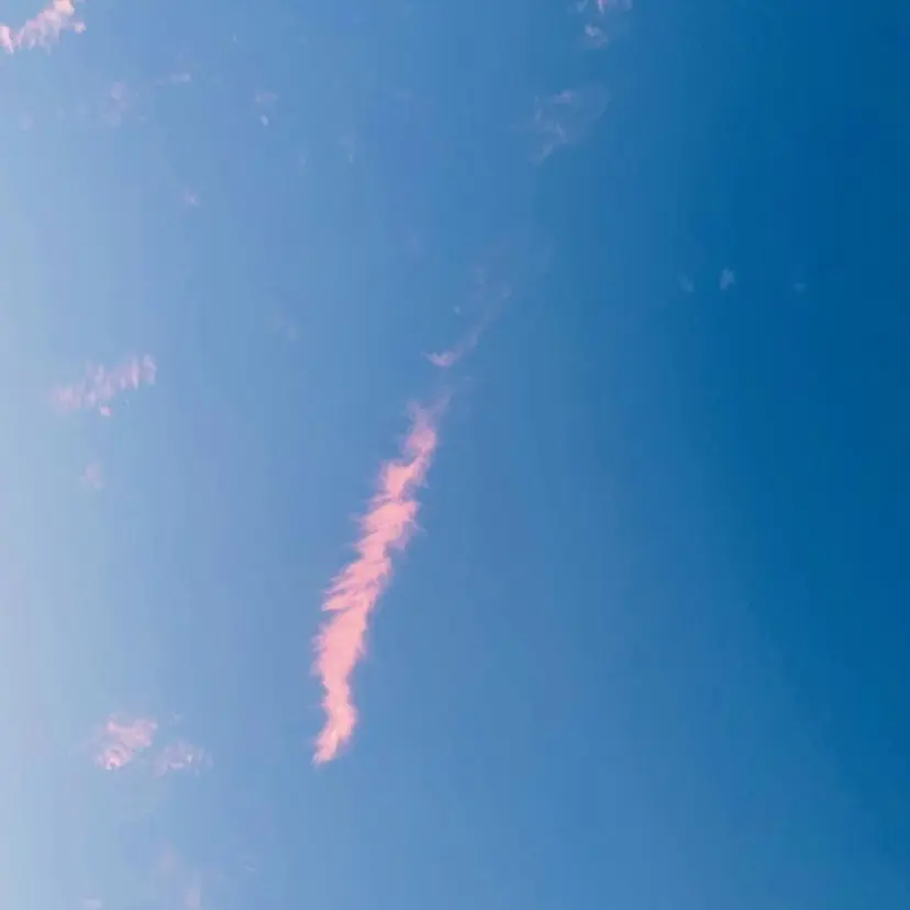 ナギサ 🦋の掲載