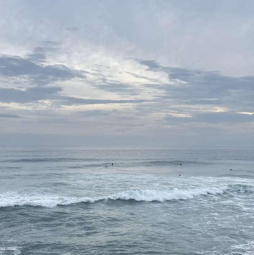 ワンホン/艶髪/韓国 🦋kokona🦋の掲載