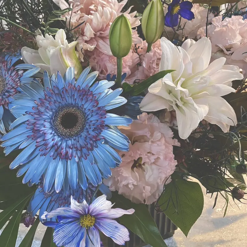 SoLuna MIZUHOの掲載