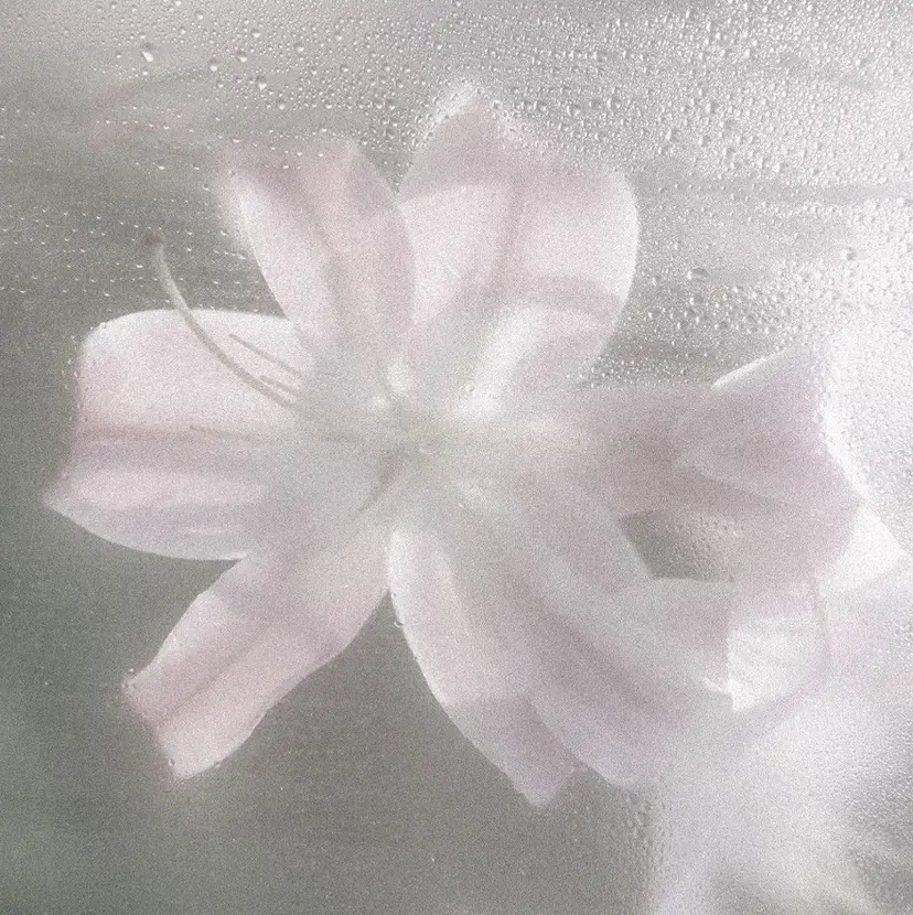 Unefleur Hazukiの掲載