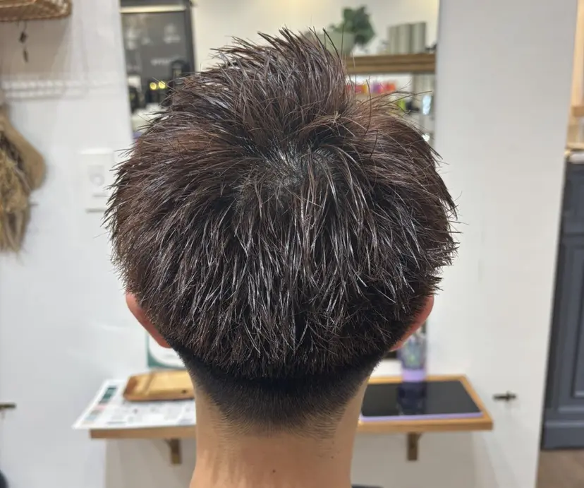 志田 萌の掲載