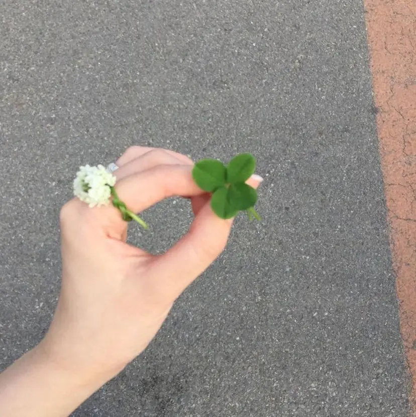 up 有薗の掲載