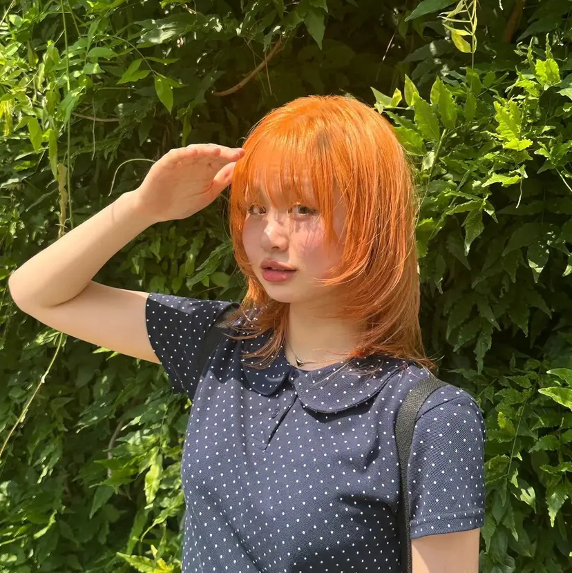 植髙 はじめの掲載
