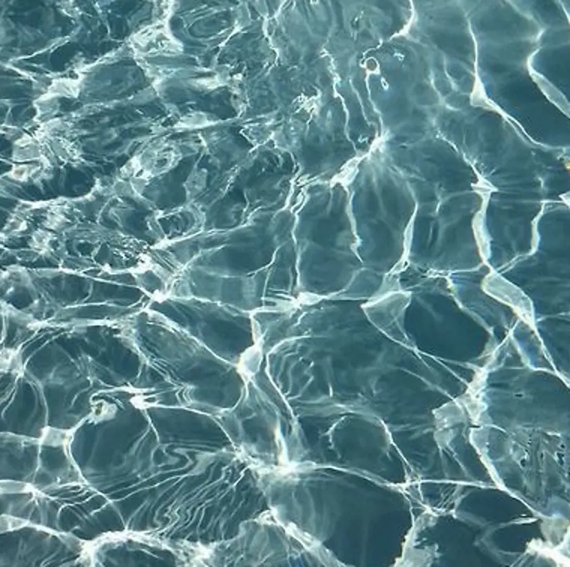 中井 楓太の掲載