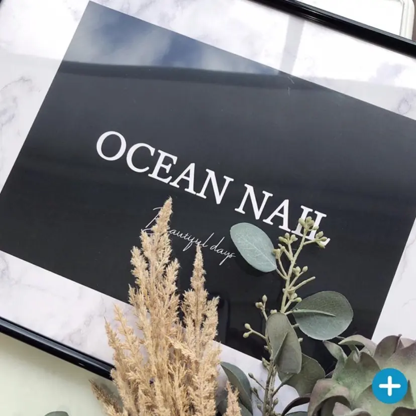 ocean nailの掲載