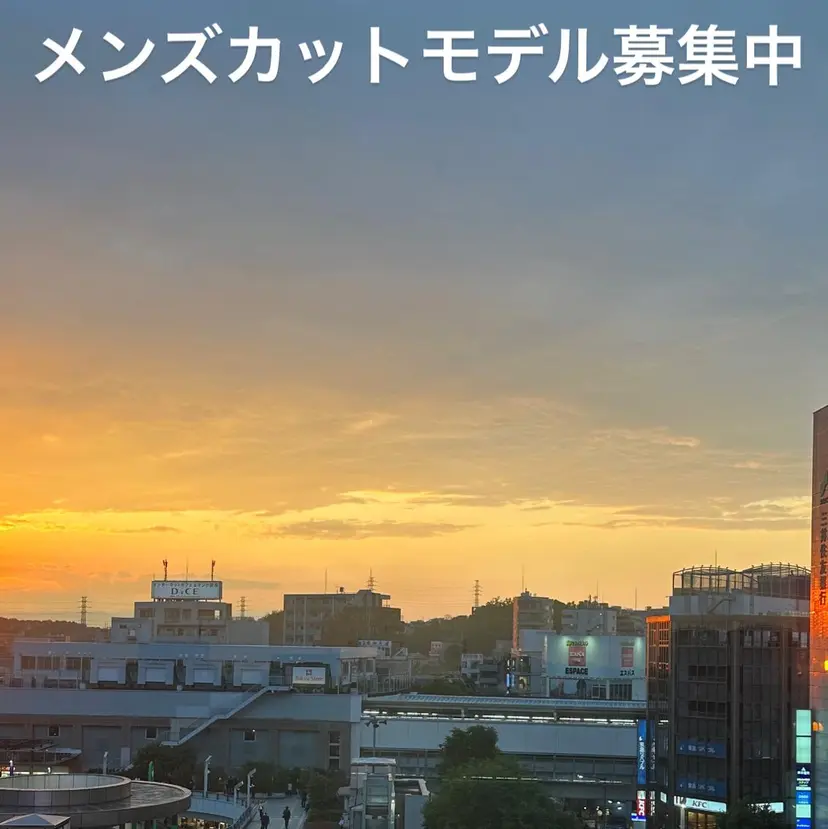 寺尾 健人の掲載