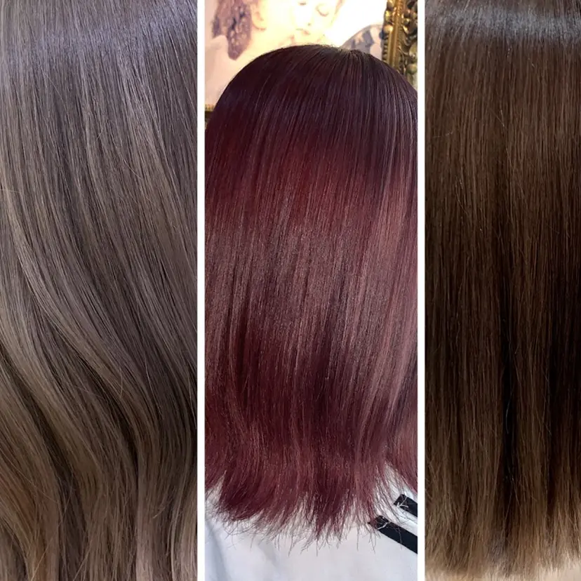 小嶋 美里の掲載