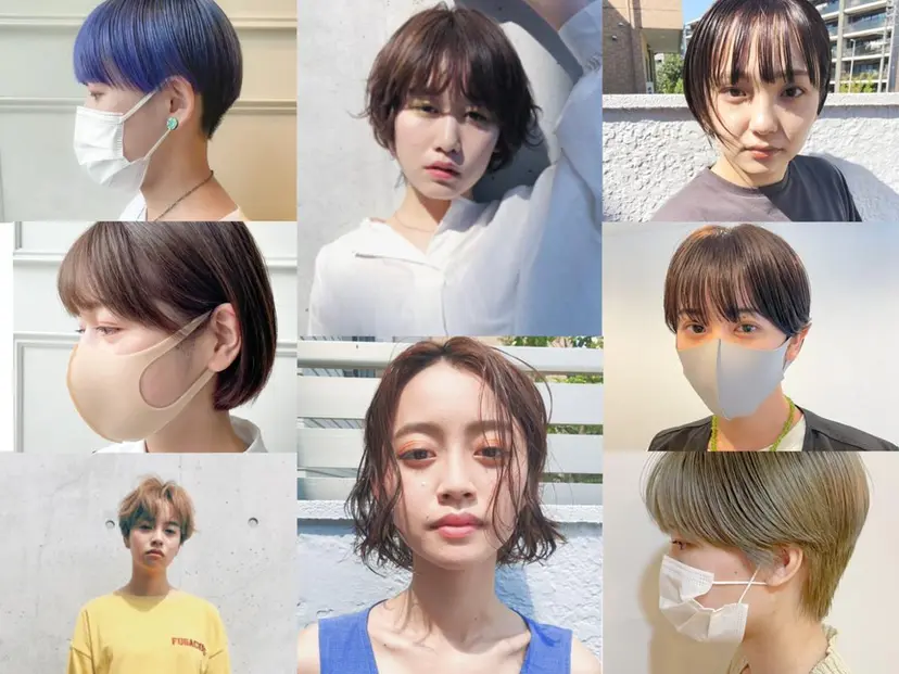 北山 巴奈の掲載