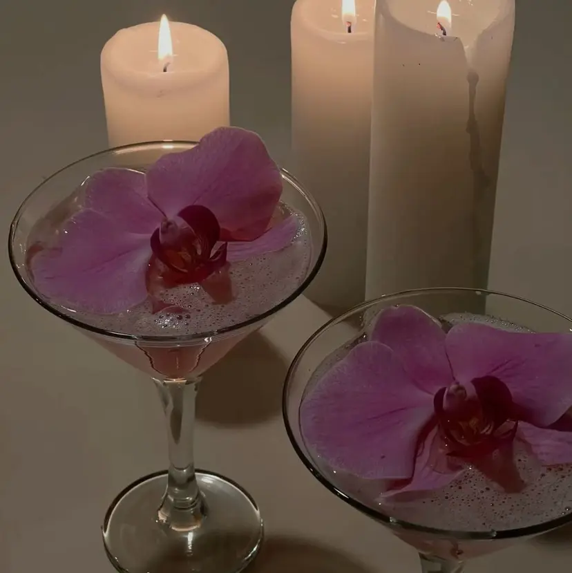 cat's megumiの掲載