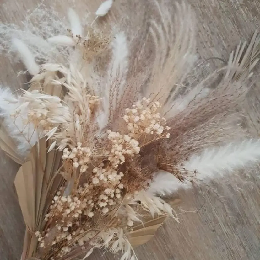 CHILO 小川の掲載