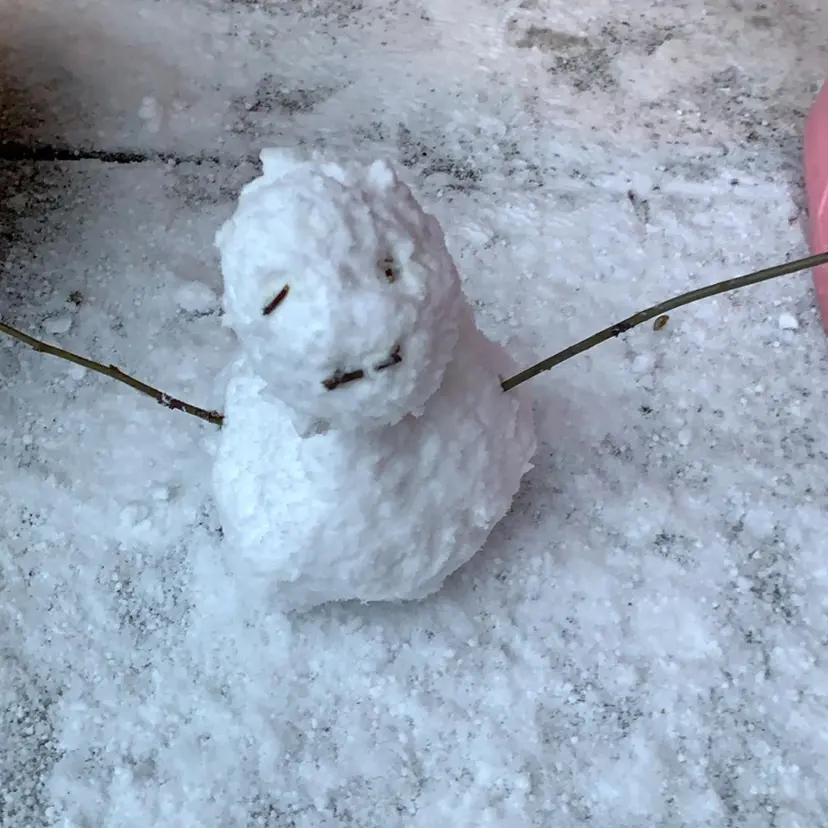 somekawa tomokoの掲載